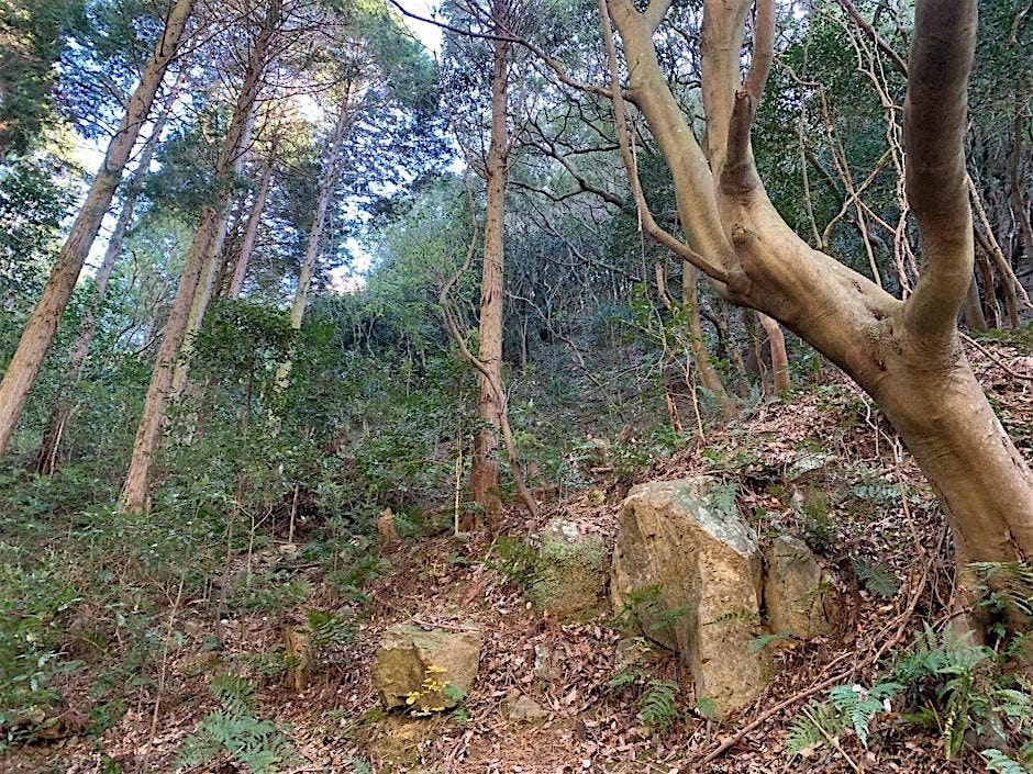 Alternative Music Showcase