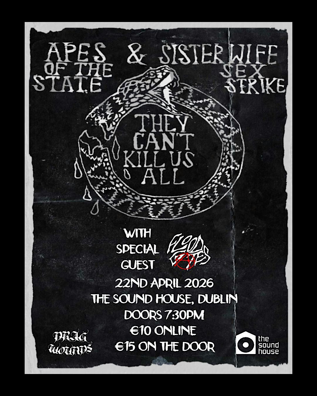 Apes of the State & Sister Wife Sex Strike - Dublin