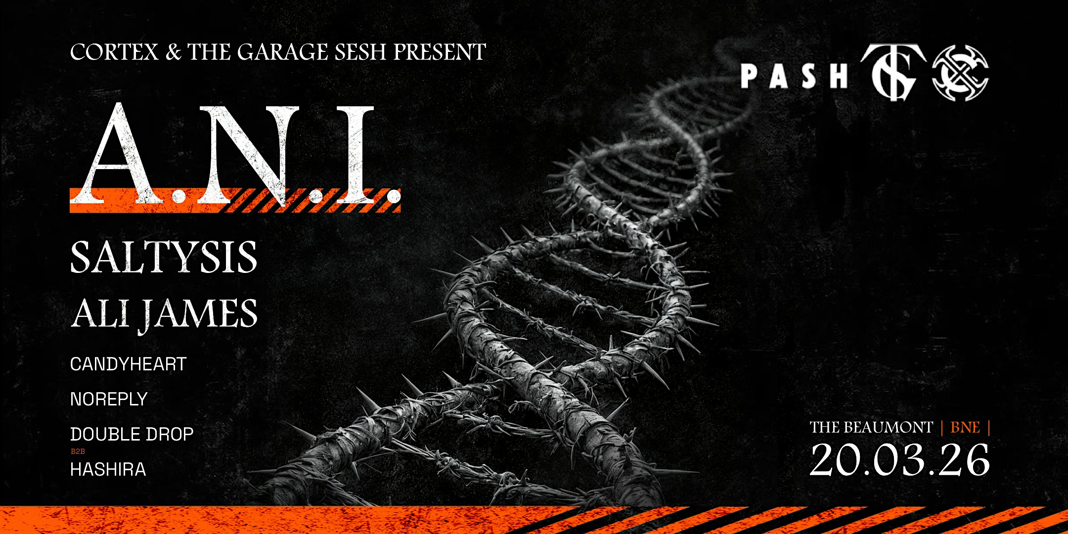 Cortex & The Garage Sesh Present: A.N.I. SALTYSIS & ALI JAMES