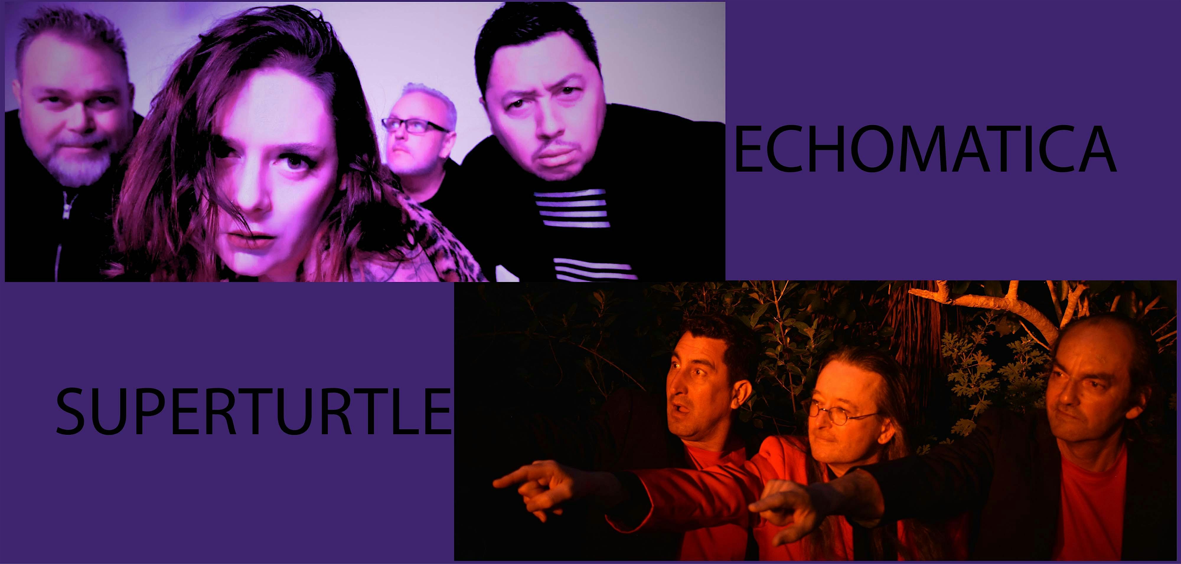 Echomatica & Superturtle celebrate Waitangi Day Weekend