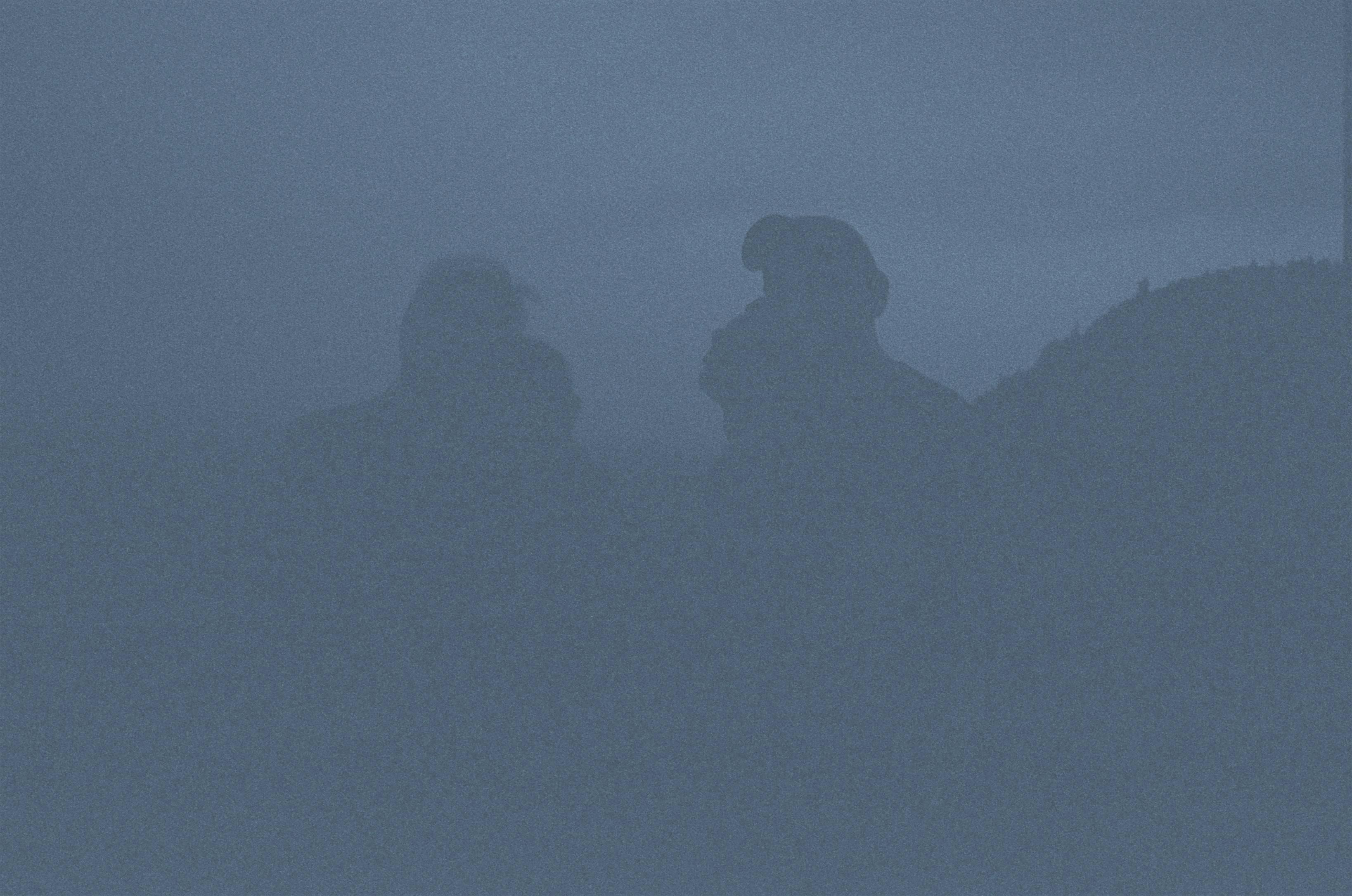 Florist Performs 'The Birds Outside Sang' & 'Holdly' w/ Hello Shark