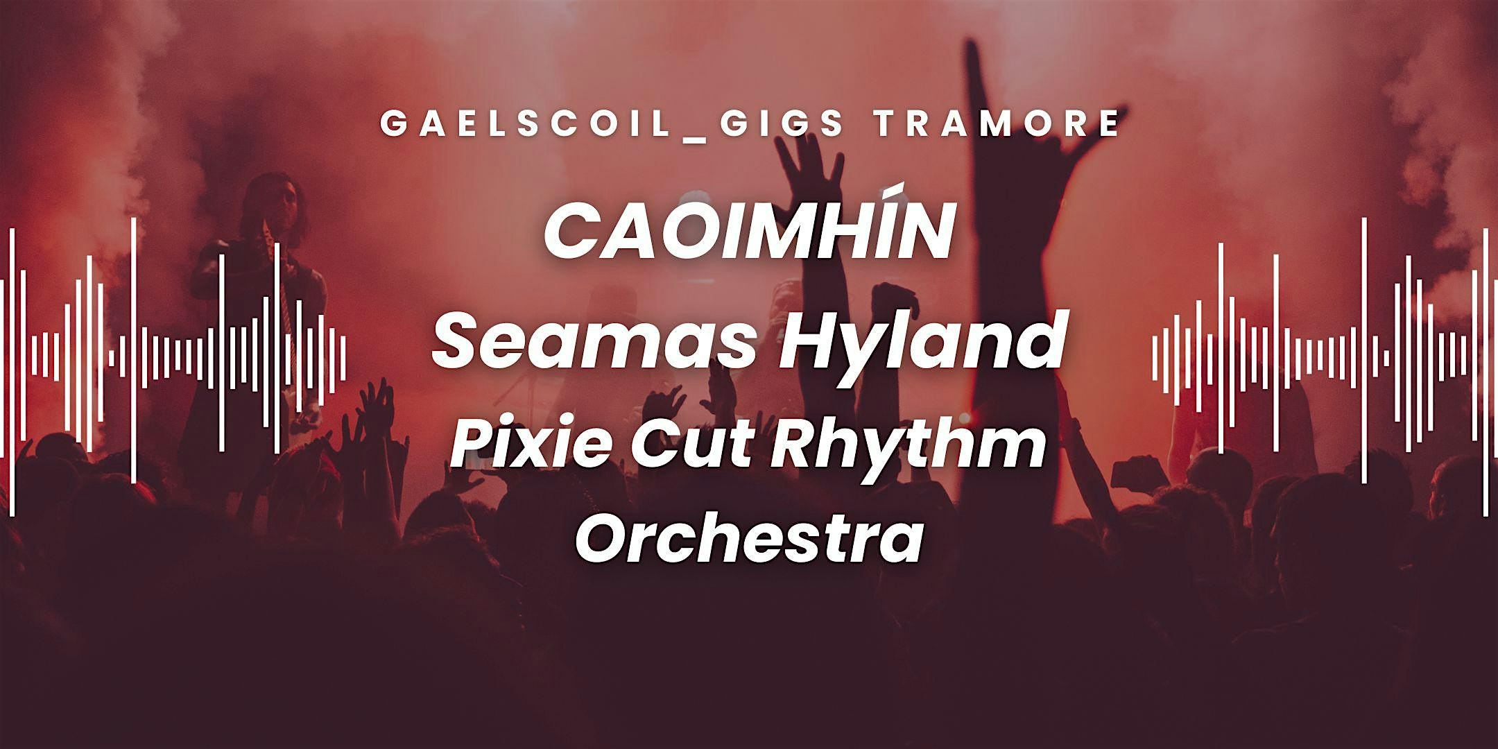 Gaelscoil_Gigs 2026: CAOIMHÍN, Seamas Hyland & Pixie Cut Rhythm Orchestra