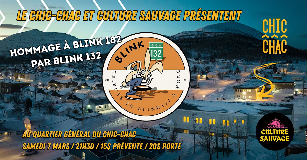 Hommage à Blink 182 avec BLINK 132 @  QG du Chic Chac