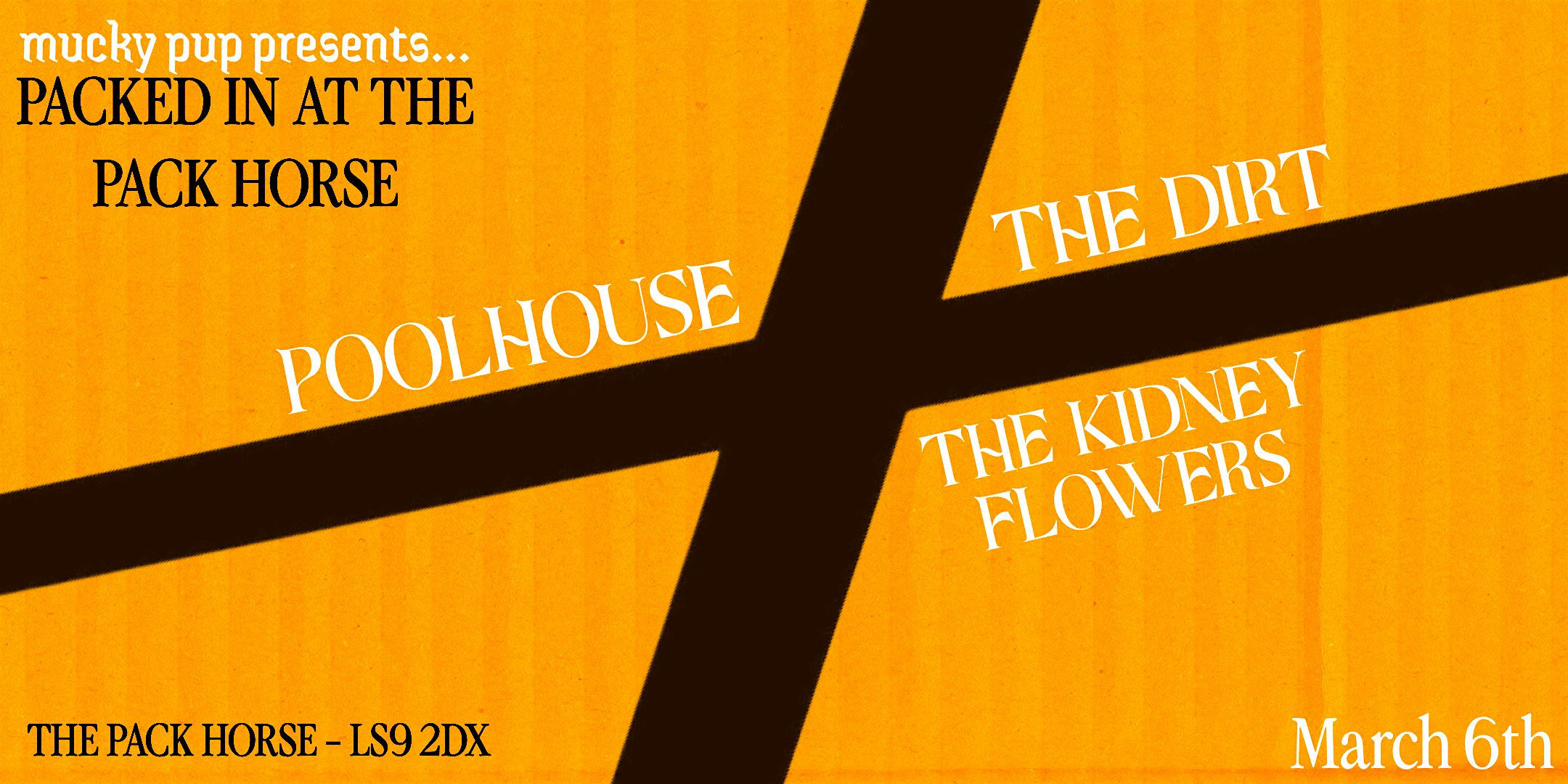 PIATPH X: THE DIRT // POOLHOUSE // THE KIDNEY FLOWERS